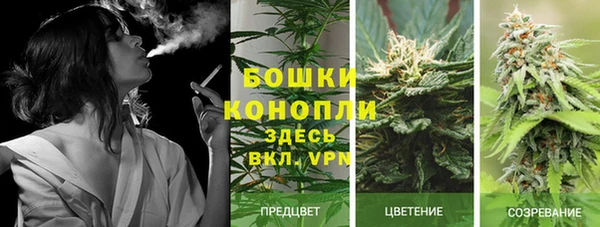 PSILOCYBIN Абдулино