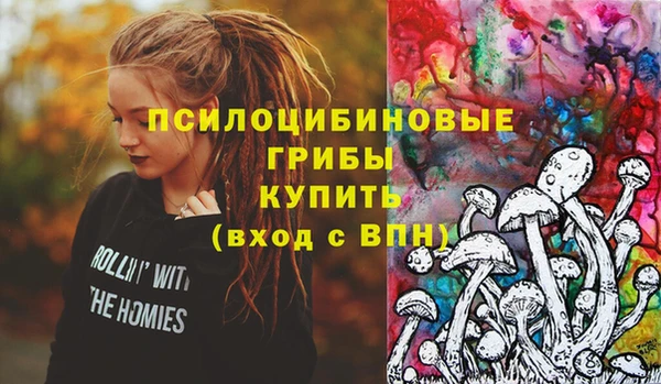 молекула духа Абинск