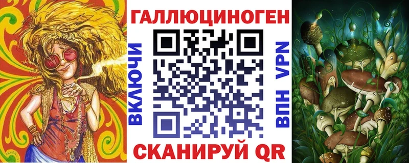 Псилоцибиновые грибы Psilocybine cubensis  дарнет шоп  Димитровград 