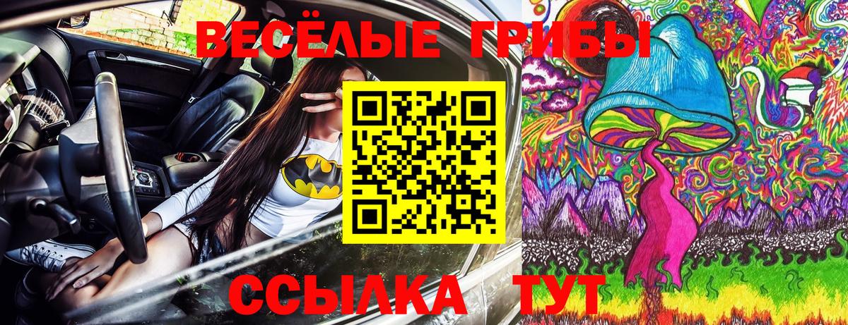 Псилоцибиновые грибы мицелий Димитровград