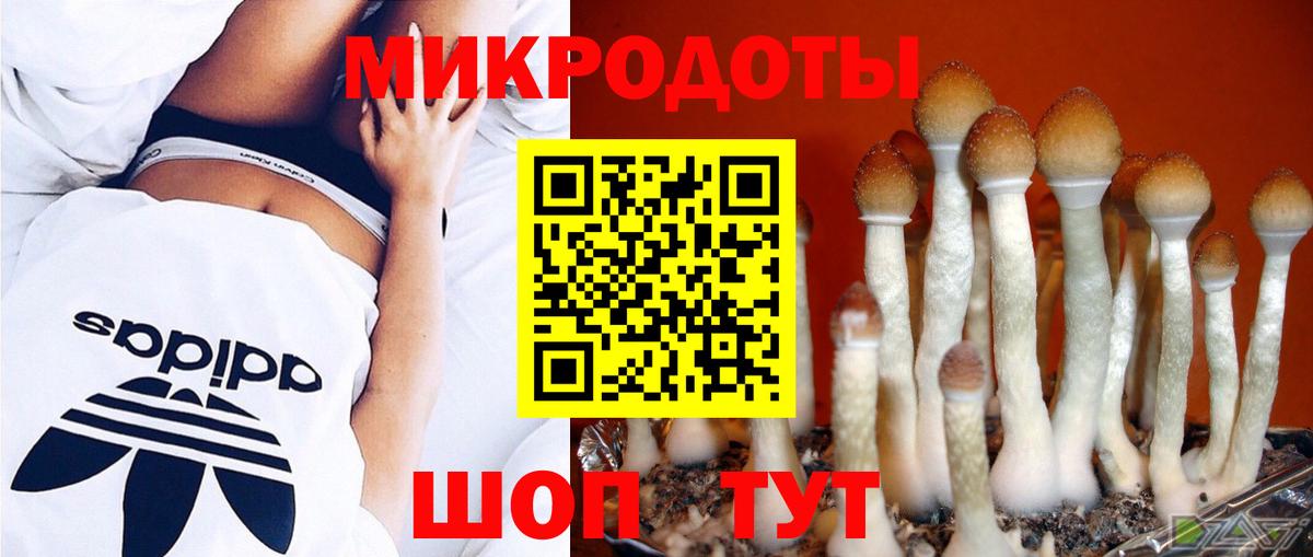 Галлюциногенные грибы Psilocybine cubensis  Вход с VPN  Димитровград 