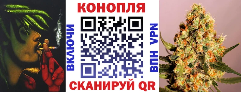 цены   OMG tor  Канабис сатива  Димитровград 